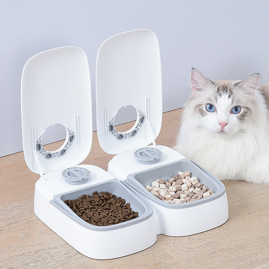 Automatic Dog & Cat Feeder with Timer and Dispenser