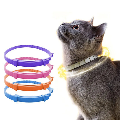 VIP Adjustable Dog & Cat Collar for All Sizes