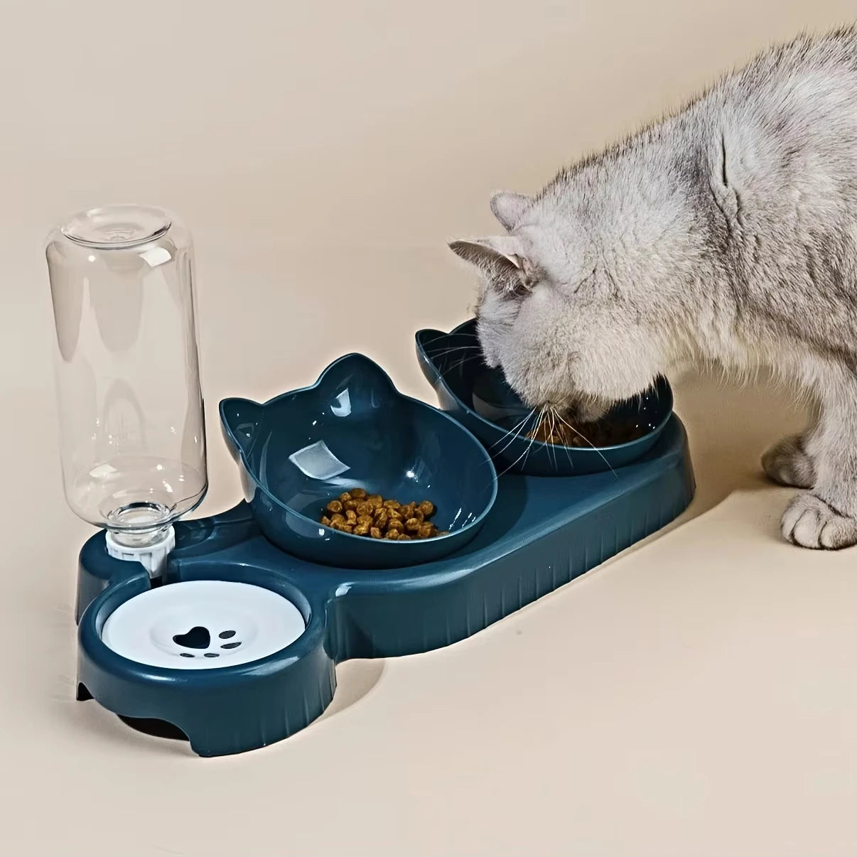 3-in-1 Tilted Cat & Dog Bowl with Water Feeder