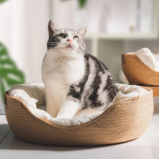Four-Season Cozy Pet Nest with Removable Cushion